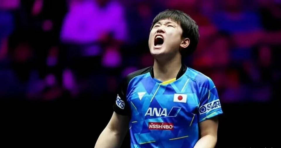 关于比利时乒乓球队完胜奥地利乒乓球队，张本智和爆发神勇的信息