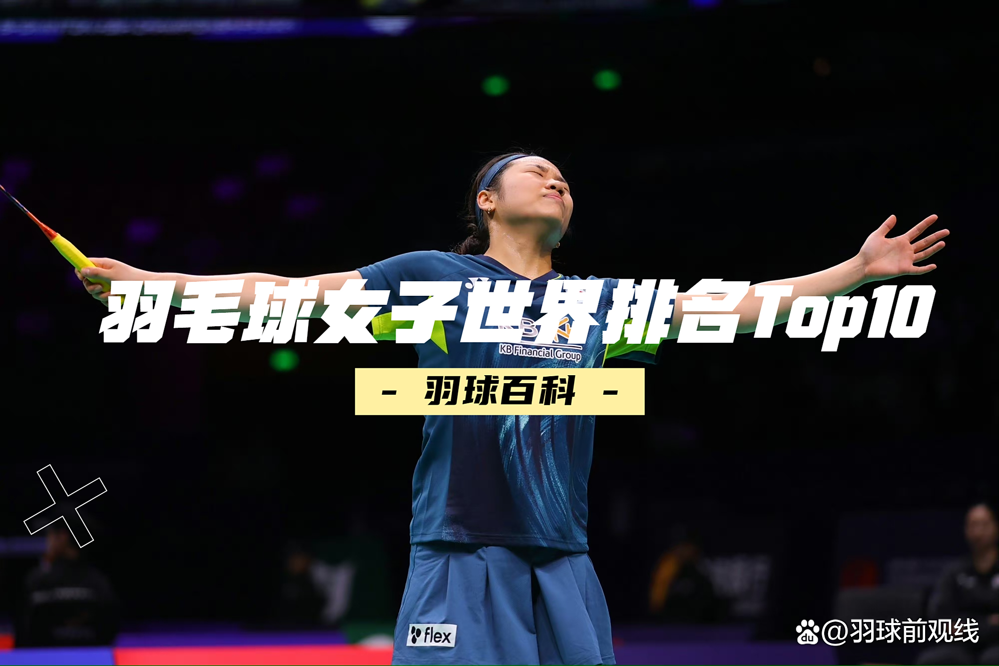 中国羽毛球队横扫丹麦羽毛球队，马琳统治全场的简单介绍