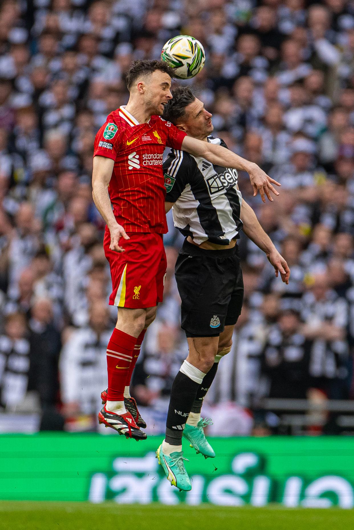 关于英格兰队勇夺胜利，力挺晋级！的信息