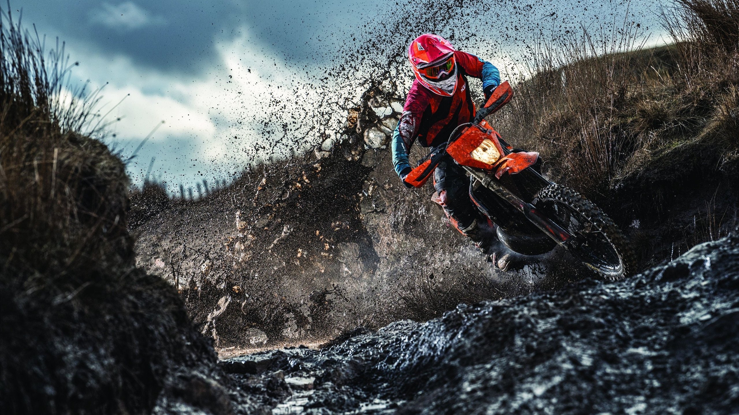 开云足球直播-雷霆万钧，武切维奇一剑封喉—他如何成为逆转广东的关键先生？