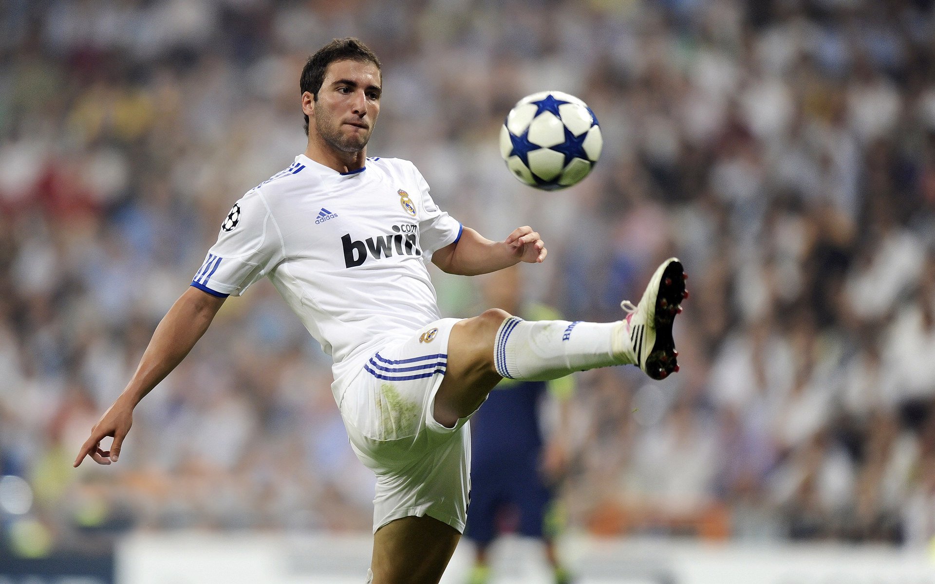 开云体育中国-雷恩风暴席卷北非,托尼·特雷索尔的战术革命如何冲垮阿尔及利亚防线